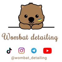 Wombat Detailing logo - Similar company to A2-Lab