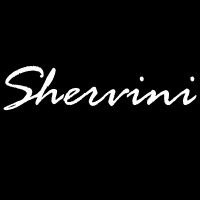 Shervini logo - Similar company to Apis Consulting