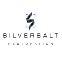 Silver Salt Restoration logo - Similar company to Film Scan Uk Ltd