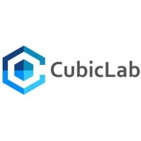 Cubiclab Technologies Limited logo - Similar company to Cloudafrica