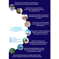 WEE Consulting logo - Similar company to Drops Middle East Chapter