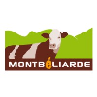 Montbéliarde Association logo - Similar company to Loire Conseil Elevage