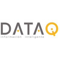 Data iQ logo - Similar company to Data Iq