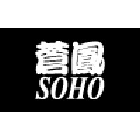 Soho Hair International