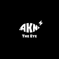 AKNEYE logo - Similar company to Fasttoken