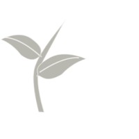 GreyShoots Advisory logo - Similar company to Neo Aid