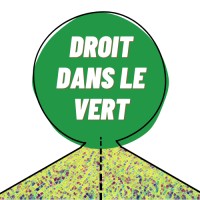 Droit dans le vert logo - Similar company to Solar Intech