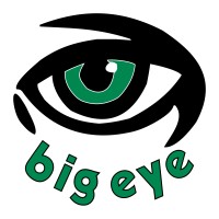 Big Eye logo - Similar company to Big Eye