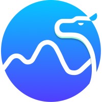 datacamel logo - Similar company to Querona