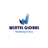 Wintel Global Business Solutions Pvt. Ltd. logo - Similar company to Abhaydata Outsoursing