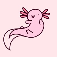 Axolotl Industries logo - Similar company to Gondola Ventures