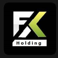 FX Holding | Foreign Exchange Holding logo - Similar company to Smartstp