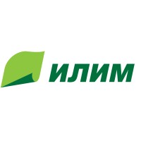 ILIM GROUP.RU logo - Similar company to Группа 