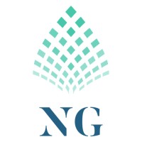 NG Private Equity logo - Similar company to Startup Umbrella