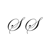 Sykes/Style logo - Similar company to Lemon Water Group