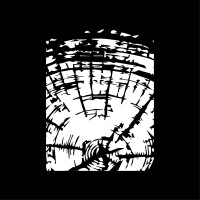 Oakwisp logo - Similar company to True Forma Studio