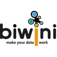 biwini logo - Similar company to Insoft, Llc