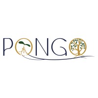 PONGO Conseil logo - Similar company to Cabinet B.Hardy | Conseil En Rse Pour Les Tpe/Pme Industrielles Des Hauts-De-France