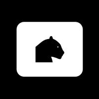 BLACK PANTHER FINANCE logo - Similar company to Kodiak Consulting