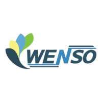Wenso Ltd logo - Similar company to Merlance Consulting