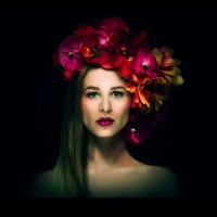 Portrait Perfected logo - Similar company to Findyourbra
