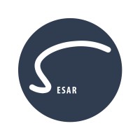 Ecole Supérieure des Arts du Rire logo - Similar company to Le Projet Scala