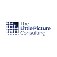 The Little Picture Consulting logo - Similar company to Raytecs