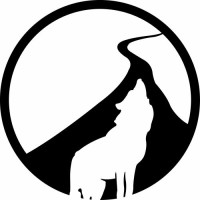 Business Coach | David Taubman logo - Similar company to Geoff Seow Coaching