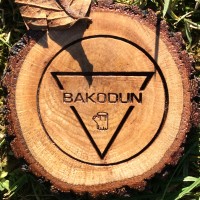 BAKODUN logo - Similar company to Bakodun Game Studios