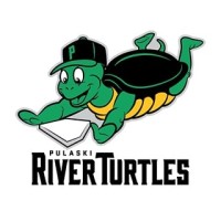 Pulaski River Turtles logo - Similar company to Salem Red Sox