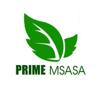Prime Msasa logo - Similar company to Netuark