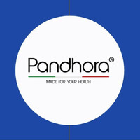 Pandhora logo - Similar company to Smartvalue Management Consulting