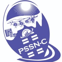 PSSN Consultancy logo - Similar company to Excel Business Consultancy (Eswatini)