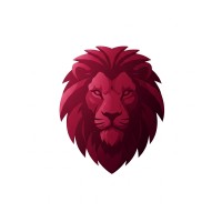 Red Lion Solutions logo - Similar company to Infinity Support
