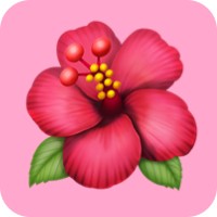 zobo - stablecoin wallet for the free logo - Similar company to Passion Incubator