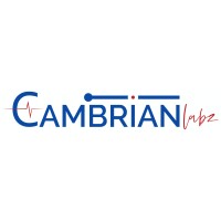 Cambrianlabz logo - Similar company to Linked-Express Coaching / Training