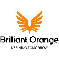 Brilliant Orange Group logo - Similar company to Itb Solutions Incorporated