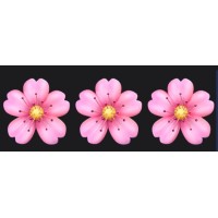 🌸 logo - Similar company to Whetstone Academy