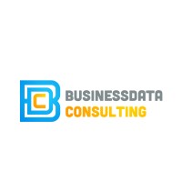 BusinessData consulting logo - Similar company to Scaderis