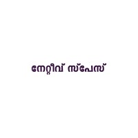 Nativespace Architecture logo - Similar company to Raving Dots Studio