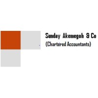 Sunday Akemegoh & Co logo - Similar company to Decasoft Technologies Ltd.