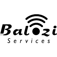 Balozi Services logo - Similar company to Dukamili