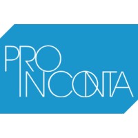 Proinconta logo - Similar company to Bm Conta