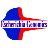 Escherichia Genomics P.Ltd logo - Similar company to Fair Ford Pharmaceuticals