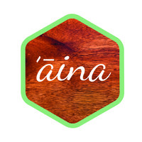 Aina Inc logo - Similar company to Youngship Monaco
