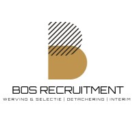 Bos Recruitment logo - Similar company to Bos Recruitment | Interim & Vast