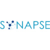 Synapse Information Ltd logo - Similar company to The Stackwizards