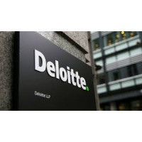 Deloitte Company logo - Similar company to Vj Associates