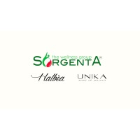 Sorgenta logo - Similar company to Studi Cognitivi Formazione