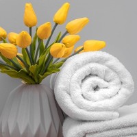 TG Linen logo - Similar company to Bloom Linen